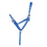 Hy Equestrian Foal Slip Halter #colour_blue