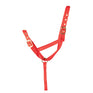 Hy Equestrian Foal Slip Halter #colour_red