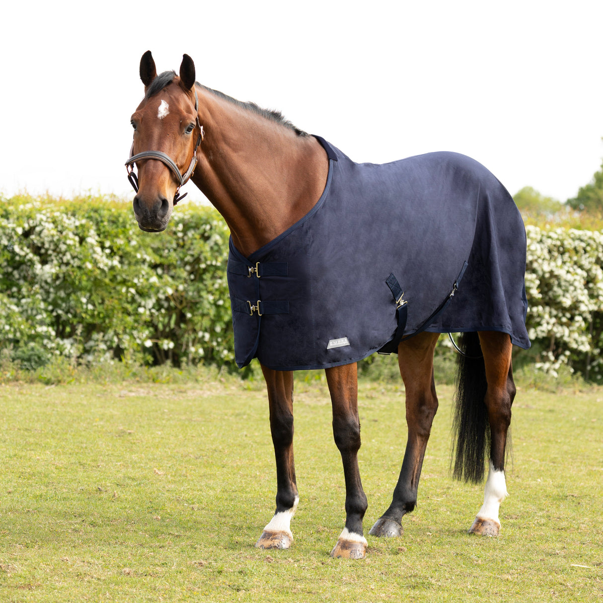 StormX Empra Pima Cotton Sheet #colour_navy
