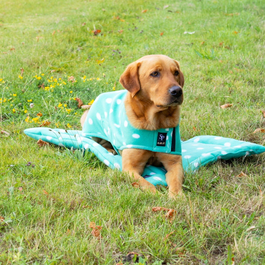 Supreme Products Dotty Fleece Dog Bed #colour_gorgeous-green
