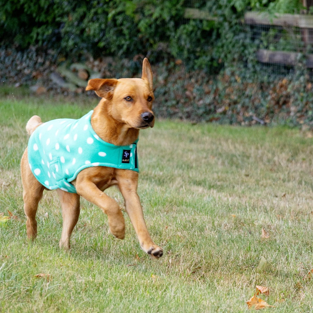 Supreme Products Dotty Fleece Dog Coat #colour_gorgeous-green