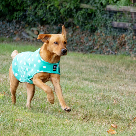 Supreme Products Dotty Fleece Dog Coat #colour_gorgeous-green