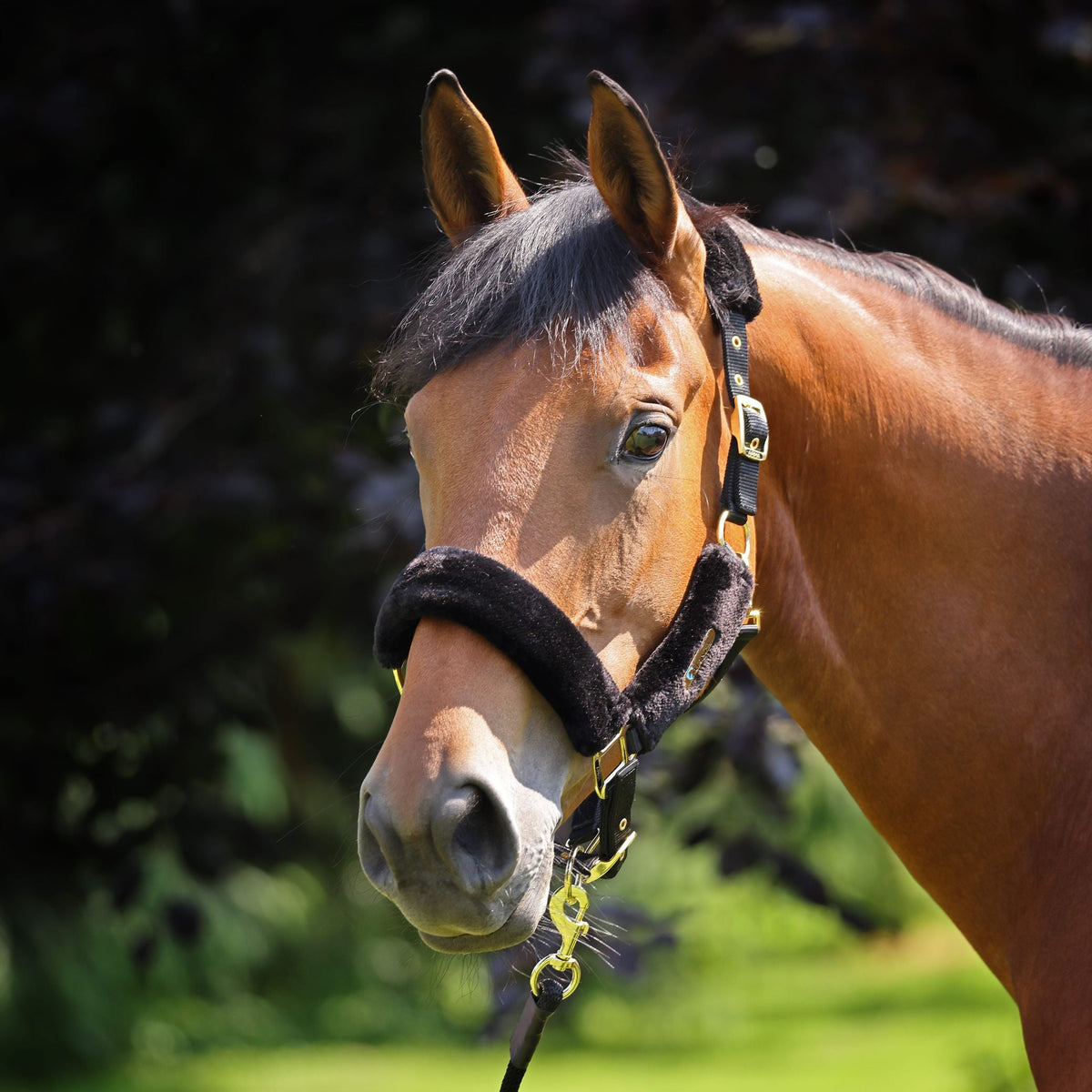 Shires ARMA Faux Fur Headcollar & Lead Rope