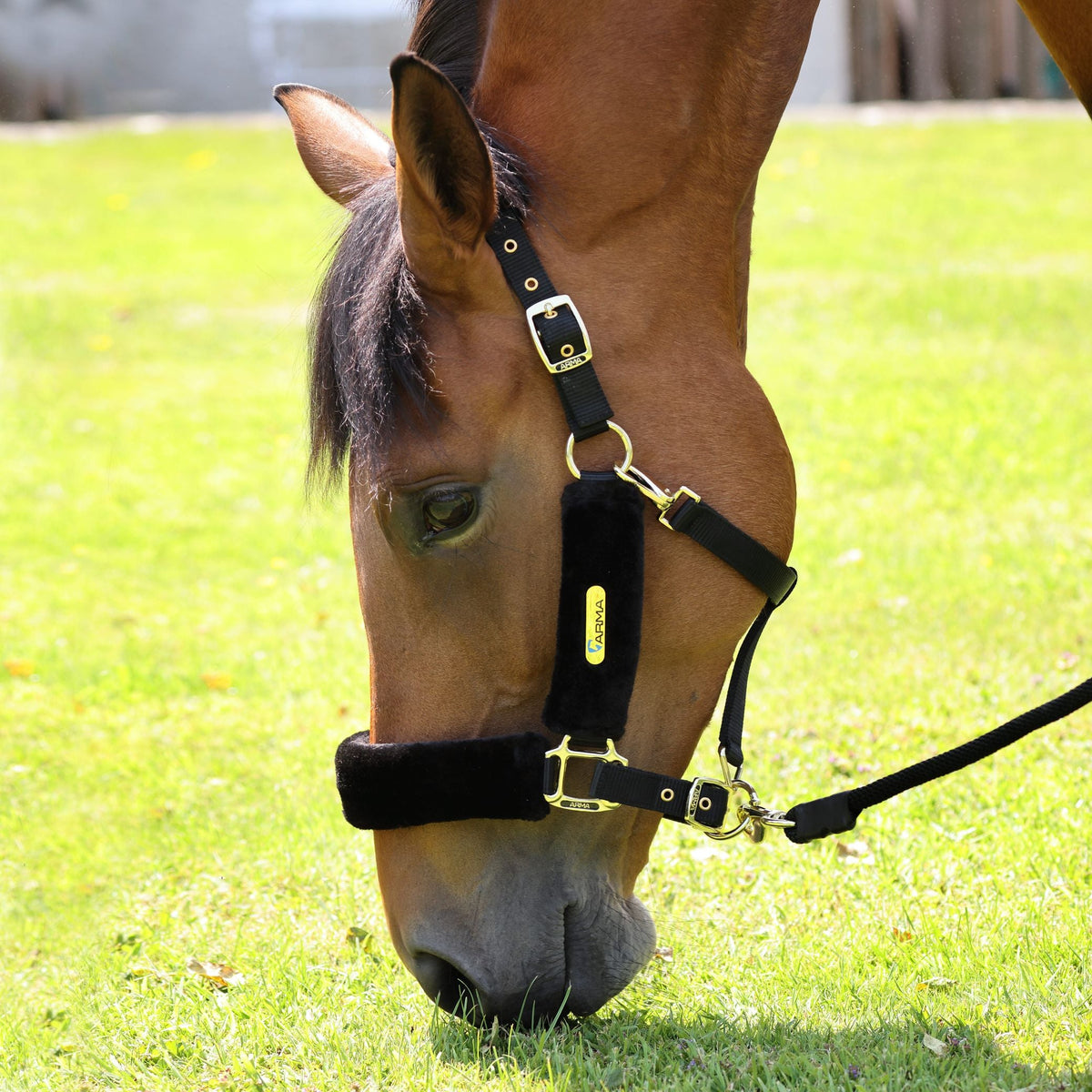 Shires ARMA Faux Fur Headcollar & Lead Rope