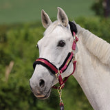 Shires ARMA Faux Fur Logo Headcollar & Lead Rope