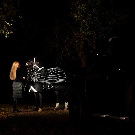 Horseware Ireland Amigo 1200D FieldSafe Reflectech Plus 250g Turnout Rug #colour_black-reflective-black