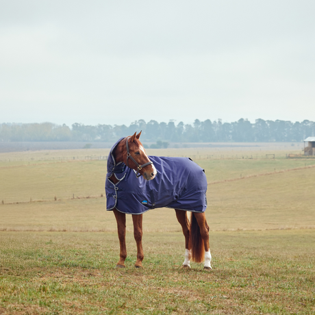 Weatherbeeta Comfitec Tyro 220G Combo Neck Turnout #colour_navy-charcoal