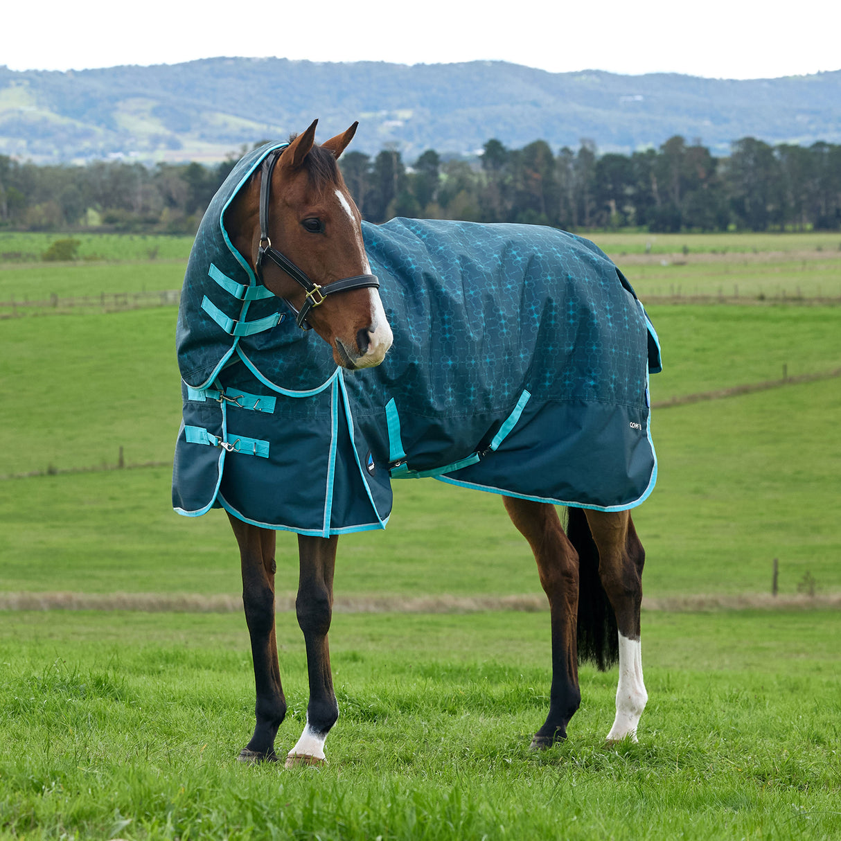 Weatherbeeta Comfitec Limited Edition Turnout Detach-A-Neck 220g