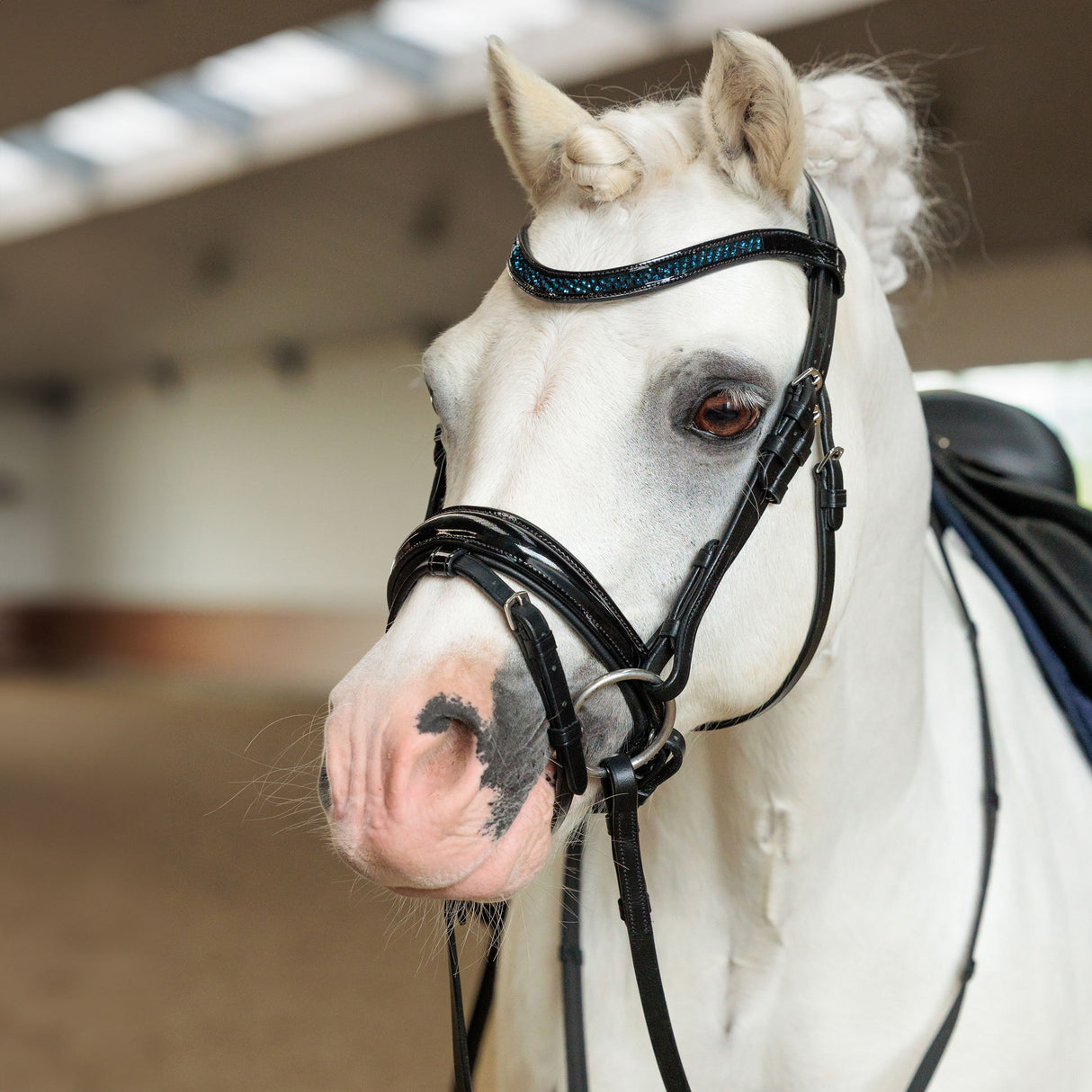 Imperial Riding Petit Bridle #colour_sapphire