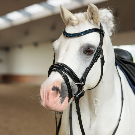 Imperial Riding Petit Bridle #colour_sapphire