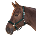 Waldhausen Satin Perlon Halter #colour_fir-green