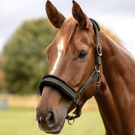 Waldhausen Elegant Halter #colour_green-brown