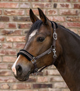 Waldhausen Halter Elegant
