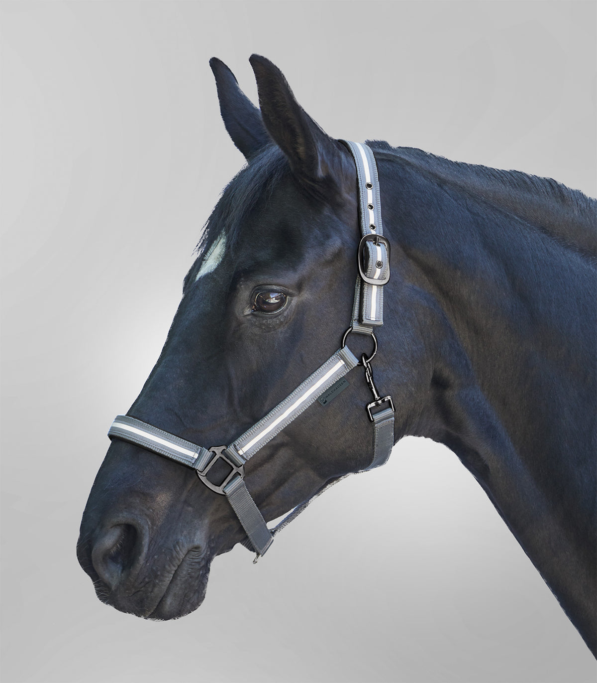 Waldhausen Halter Reflex Stripe
