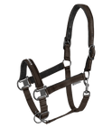 Waldhausen Halter Athletic