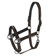 Waldhausen Halter Athletic