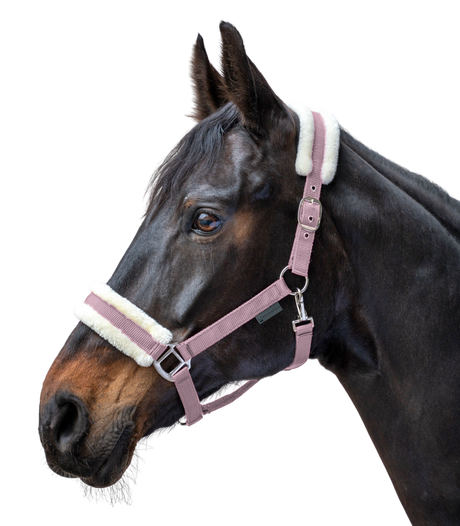 Waldhausen First Halter #colour_cherry-blossom