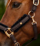 Waldhausen Phoenix Halter Set