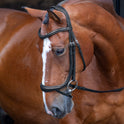 Shires Velociti RAPIDA Ergonomisches gebogenes Flash-Zaumzeug