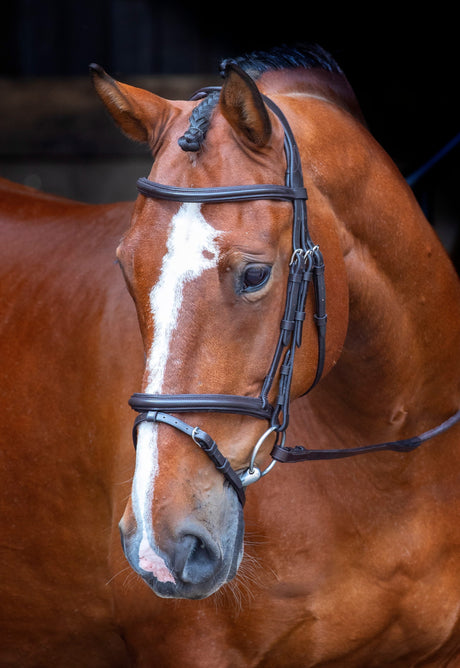 Shires Velociti RAPIDA Padded Raised Flash Bridle