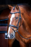 Shires Velociti RAPIDA Dressur-Flash-Zaumzeug