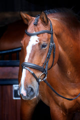 Shires Velociti RAPIDA Dressur-Flash-Zaumzeug