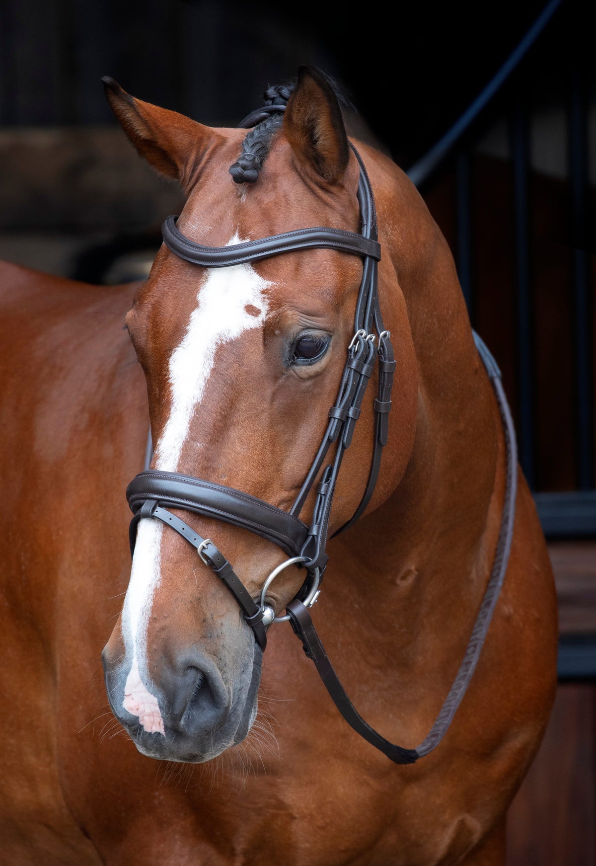 Shires Velociti RAPIDA Dressur-Flash-Zaumzeug