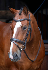 Shires Velociti RAPIDA Dressur-Flash-Zaumzeug