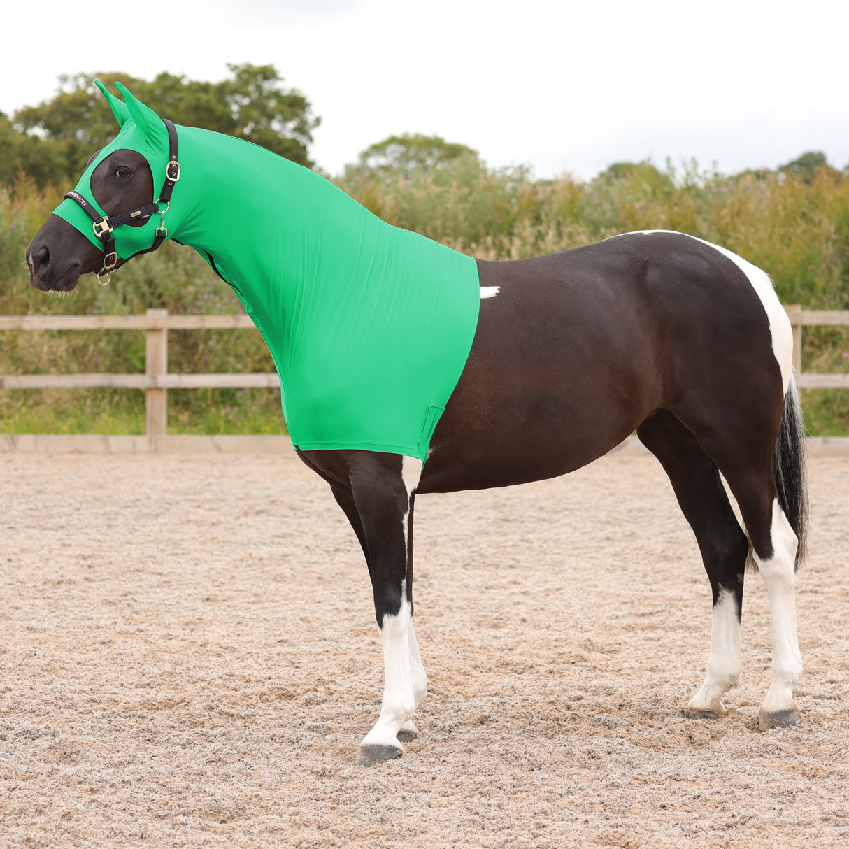 Supreme Products Lycra Hood #colour_emerald