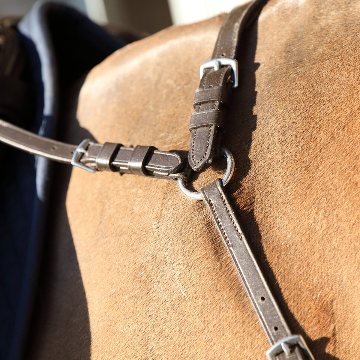 Shires Velociti RAPIDA Ergonomic Breastplate