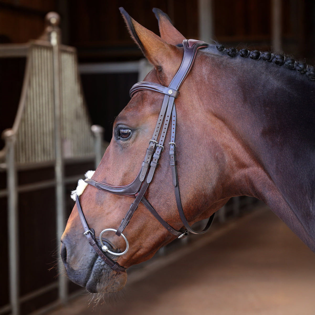 Shires Velociti Lusso Elite Grackle Bridle