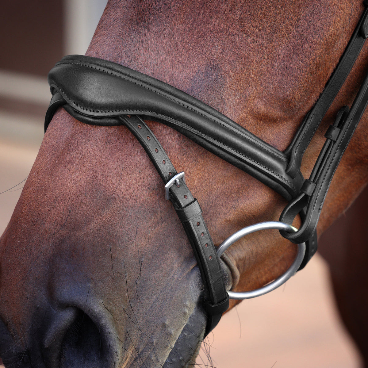 Shires Velociti Lusso Elite Flash Bridle