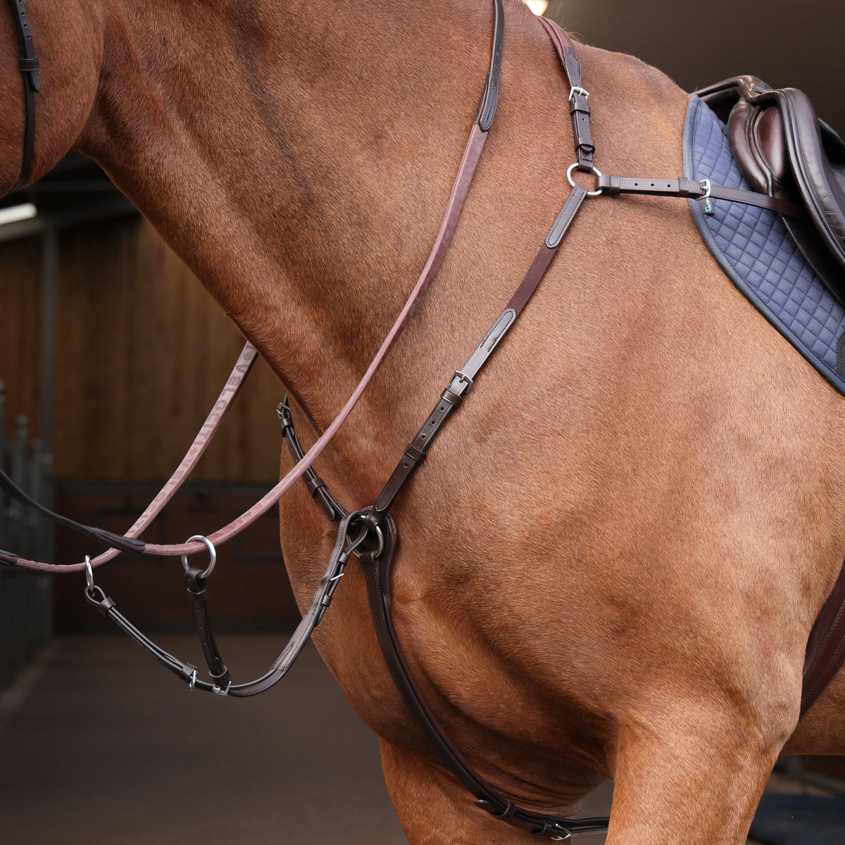 Shires Velociti Rapida Elastic Breastplate