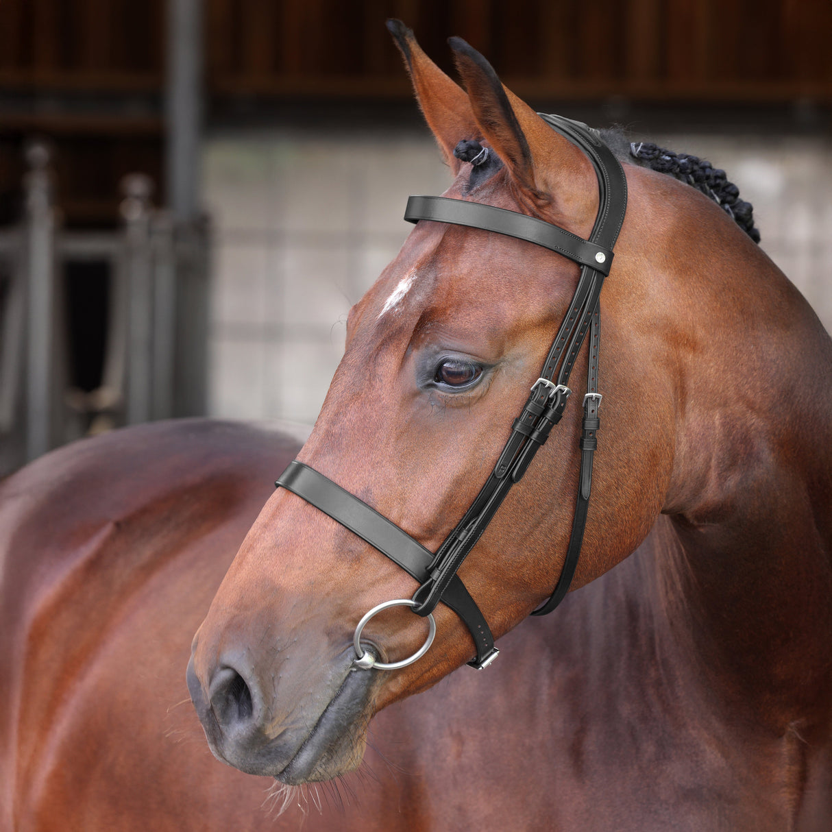Shires Velociti LUSSO Elite Hunter Bridle