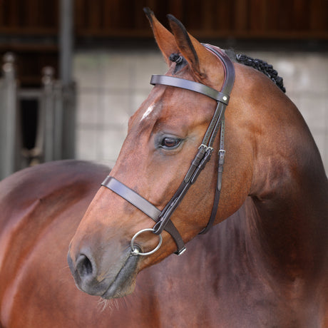Shires Velociti LUSSO Elite Hunter Bridle