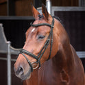 Shires Velociti LUSSO Elite Padded Raised Flash Bridle