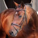 Shires Velociti LUSSO Elite Padded Raised Flash Bridle