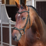 Shires Velociti LUSSO Elite Ergonomic Flash Bridle