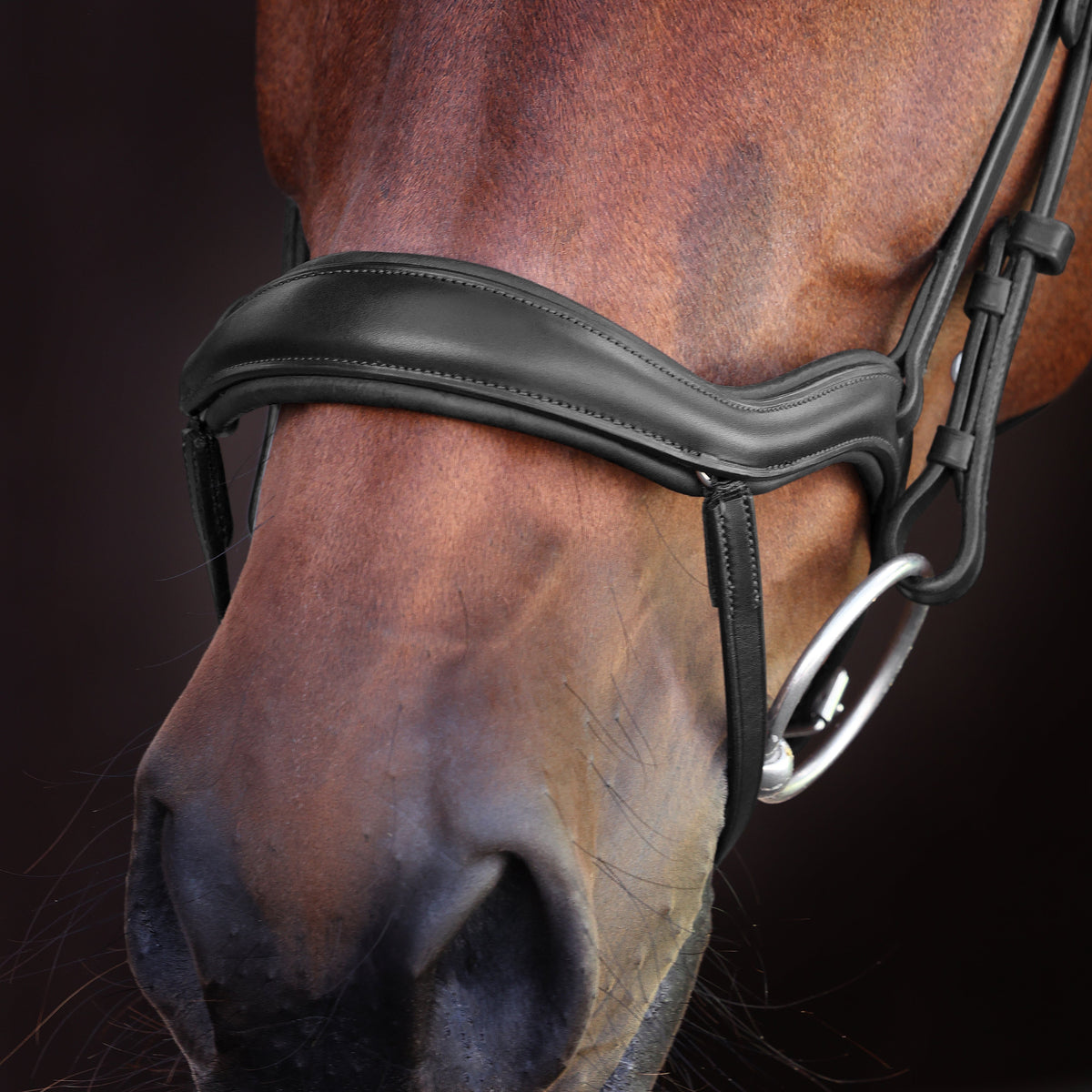 Shires Velociti LUSSO Elite Ergonomic Flash Bridle