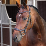 Shires Velociti LUSSO Elite Ergonomic Flash Bridle
