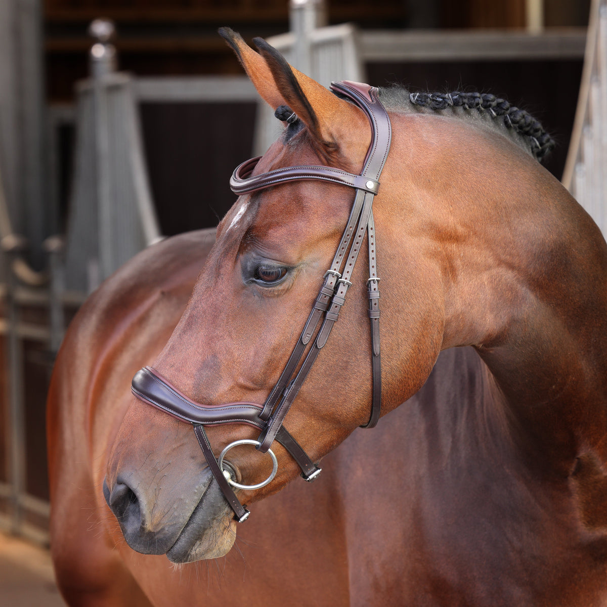 Shires Velociti LUSSO Elite Ergonomic Flash Bridle