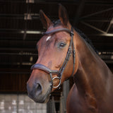 Shires Velociti LUSSO Elite Ergonomic Flash Bridle