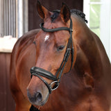 Shires Velociti LUSSO Elite Dressage Flash Bridle