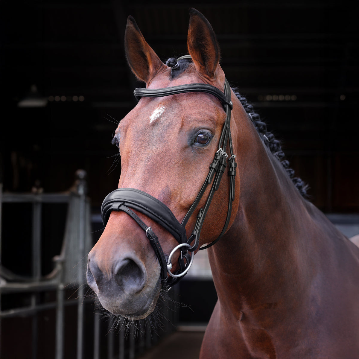 Shires Velociti LUSSO Elite Dressage Flash Bridle