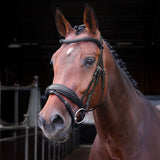 Shires Velociti LUSSO Elite Dressage Flash Bridle