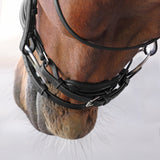 Shires Velociti LUSSO Elite Dressage Flash Bridle