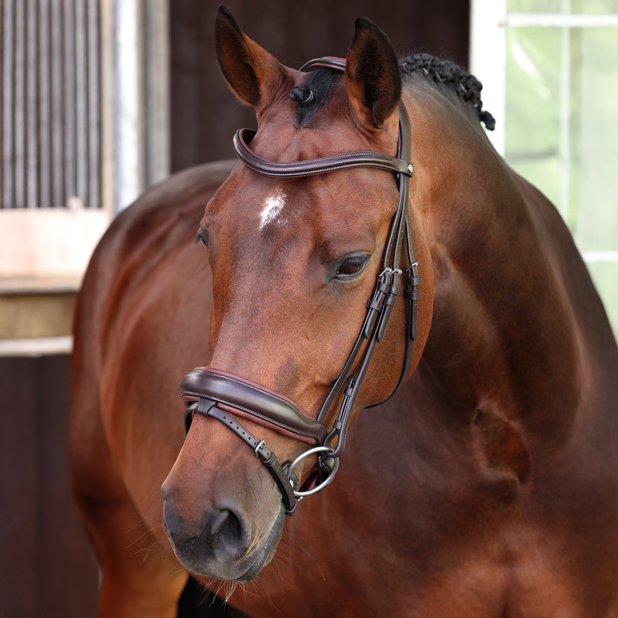 Shires Velociti LUSSO Elite Dressage Flash Bridle