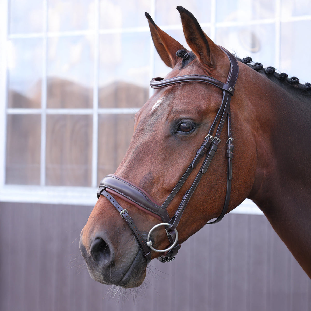 Shires Velociti LUSSO Elite Dressage Flash Bridle