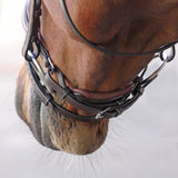 Shires Velociti LUSSO Elite Dressage Flash Bridle