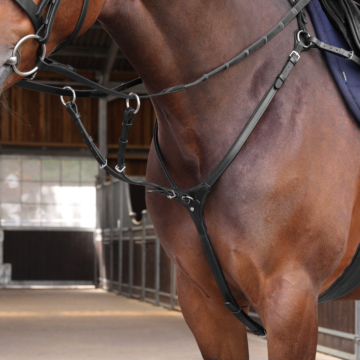 Shires Velociti LUSSO Elite Close Contact Breastplate